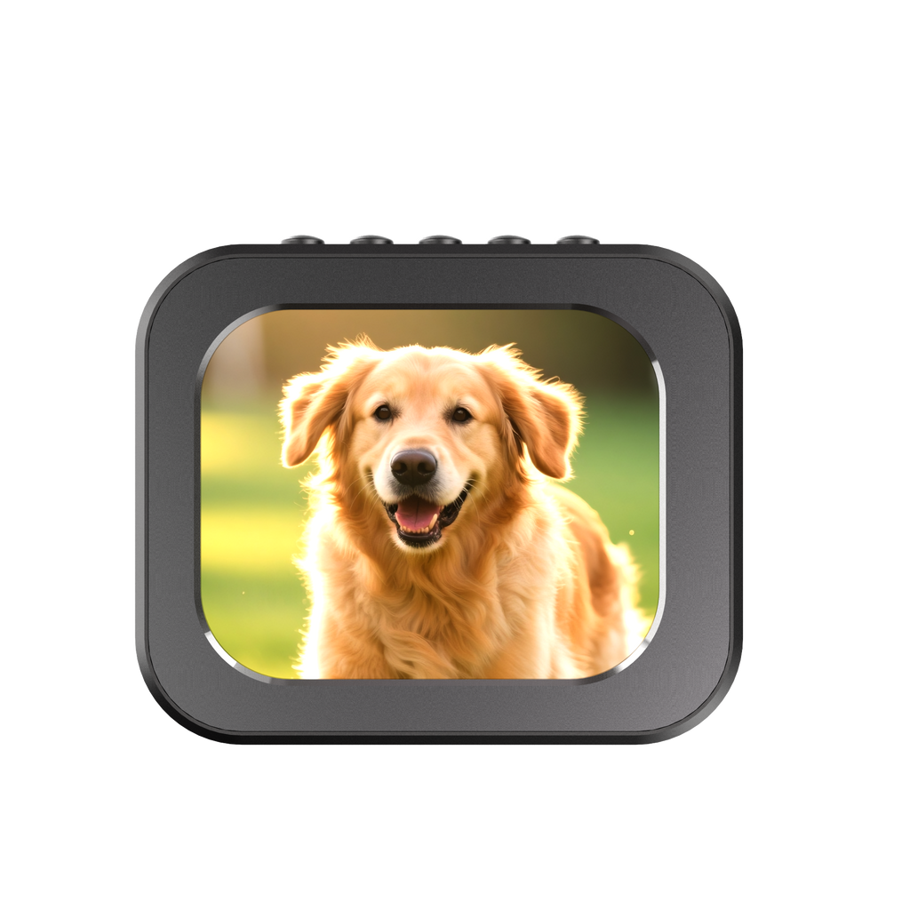 Night Thermal® 4K Lightweight Full Color Night Vision Viewer