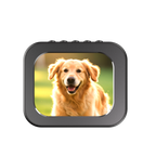 Night Thermal® 4K Lightweight Full Color Night Vision Viewer