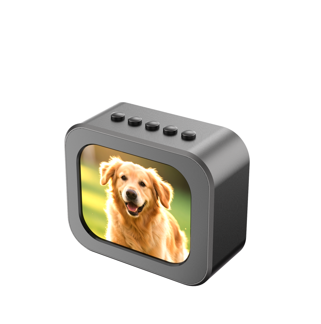 Night Thermal® 4K Lightweight Full Color Night Vision Viewer